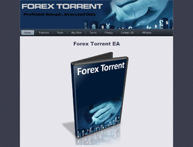 ForexTorrent.com отзывы